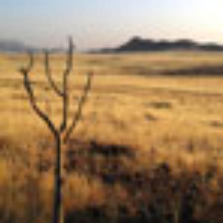 Donut World and Fresh Coffee Bean